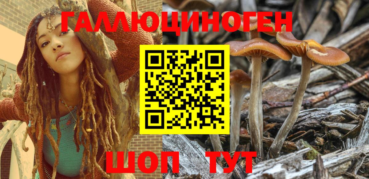 Псилоцибиновые грибы MAGIC MUSHROOMS Кызыл