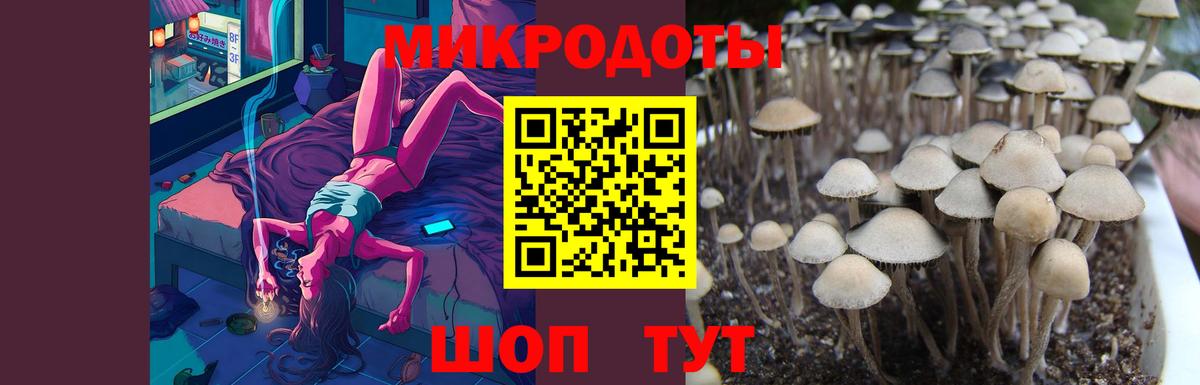 Галлюциногенные грибы ЛСД  Вход с VPN  Кызыл 